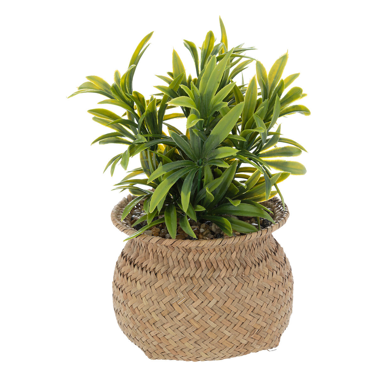 Artificial Plant with Natural Reed Pot JIL