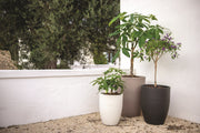 TROCO FLOWERPOT - Smoky Grey Resin Planter, Indoor/Outdoor, 2 Sizes