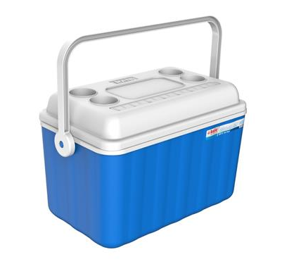 Cooler Box 32L with Thick Polyurethane Insulation