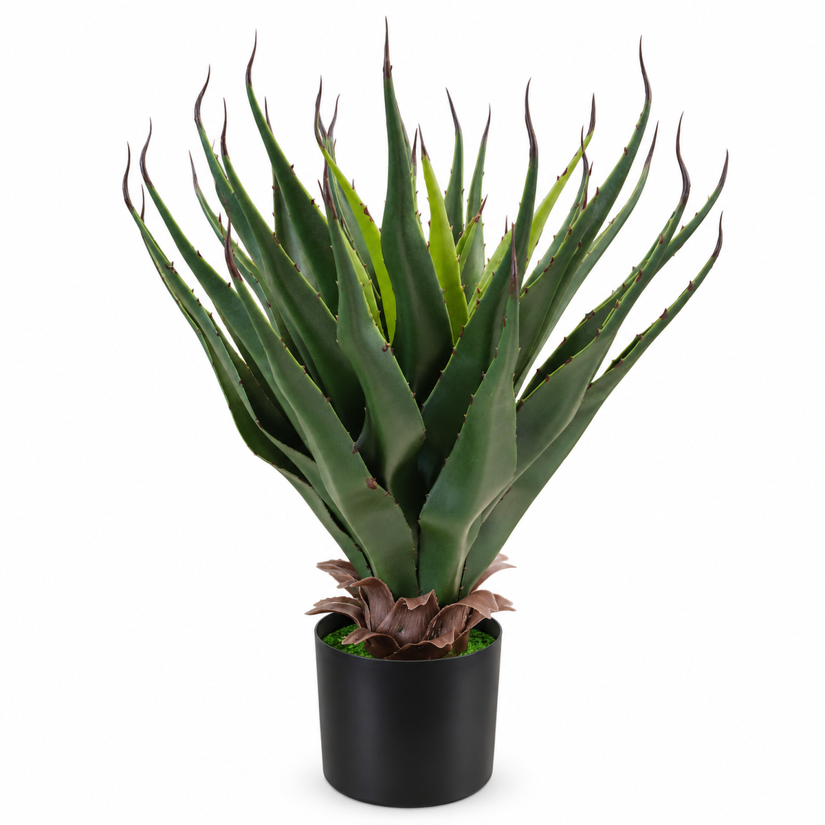 Black Pot with Agave Leaves Plant – 55 cm