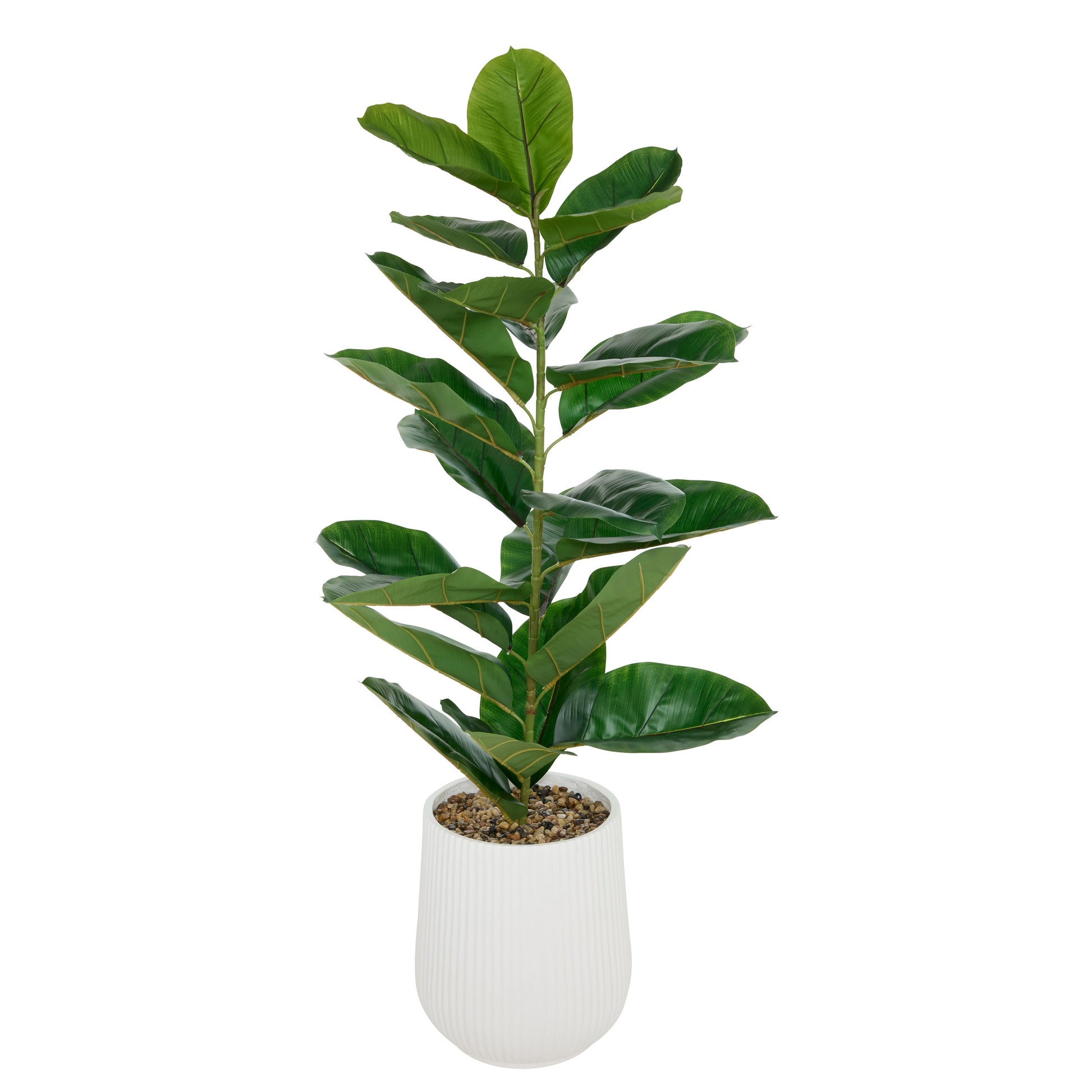 Artificial Ficus Sky in Pot – 145 cm White Ribbed Magnesium Oxide Pot
