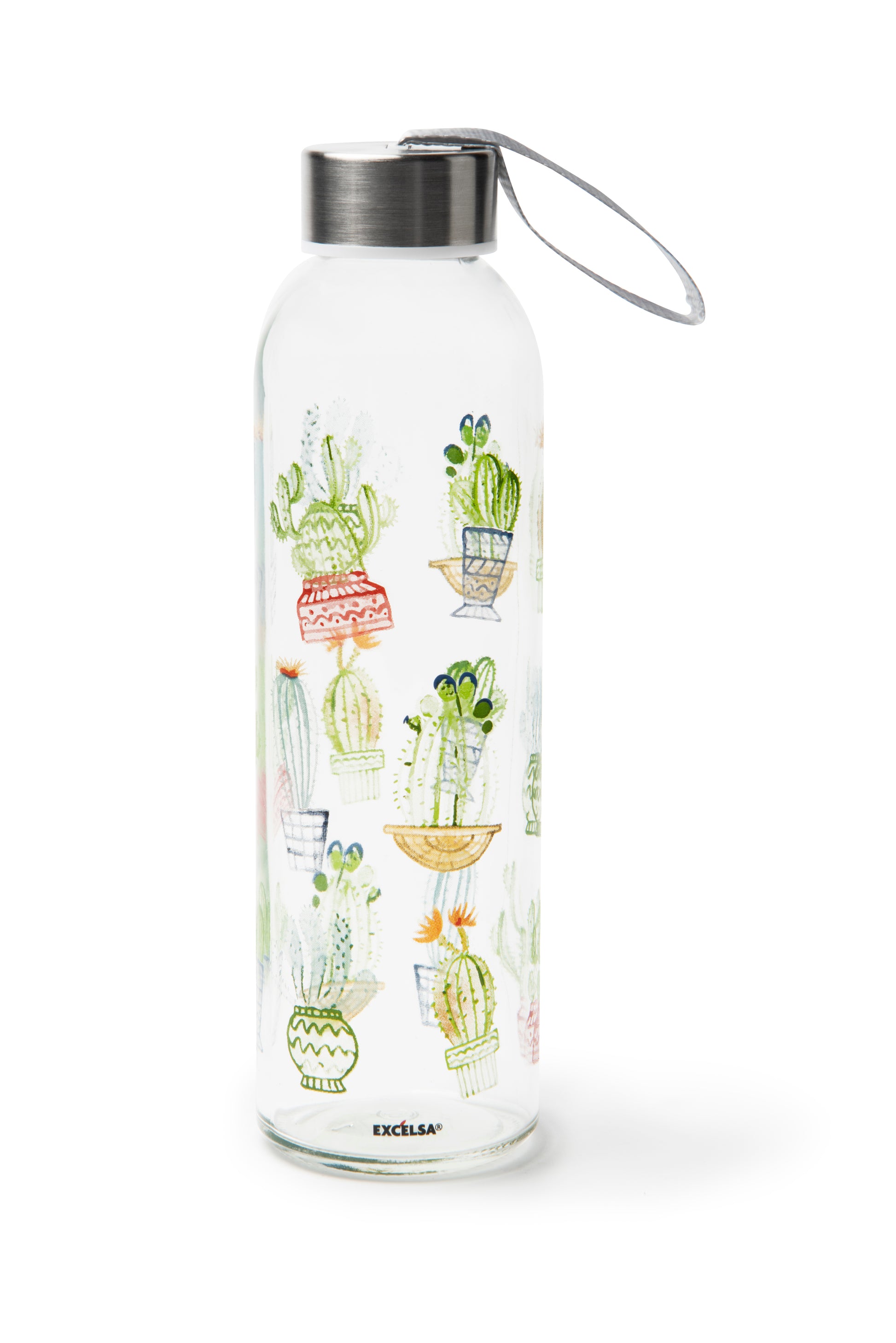 Cactus Bottle with Stainless Cap, 500ml Glass Drinkware for Kitchen