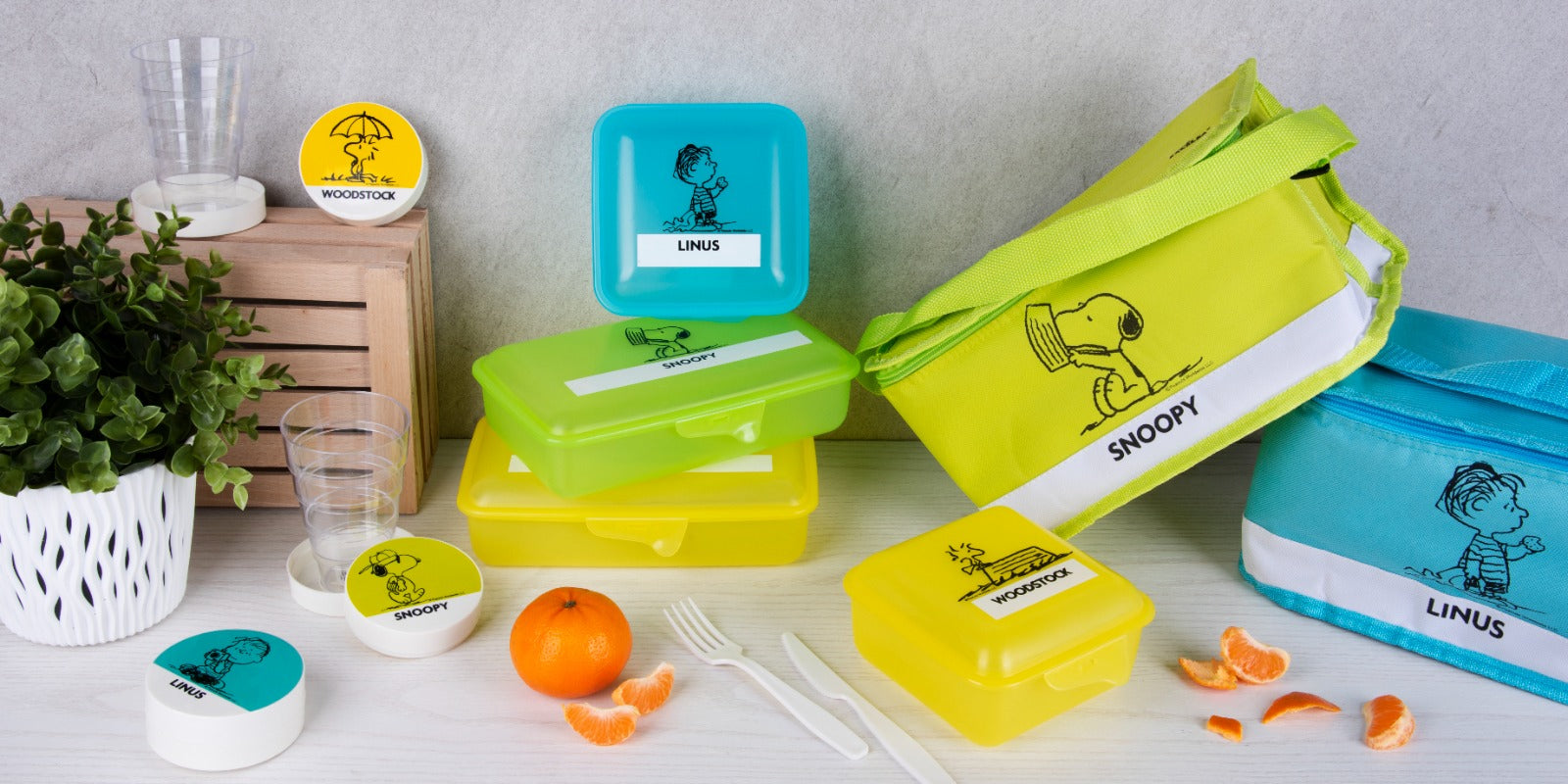 Snoopy Rectangular Food Container - Green