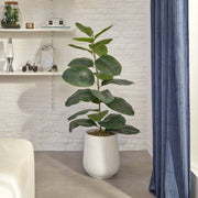 Artificial Ficus Sky in Pot – 145 cm White Ribbed Magnesium Oxide Pot
