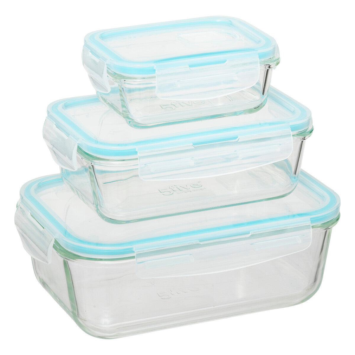 Set of 3 Large Rectangular Glass Conservation Boxes
