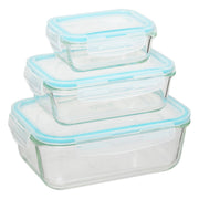 Set of 3 Large Rectangular Glass Conservation Boxes