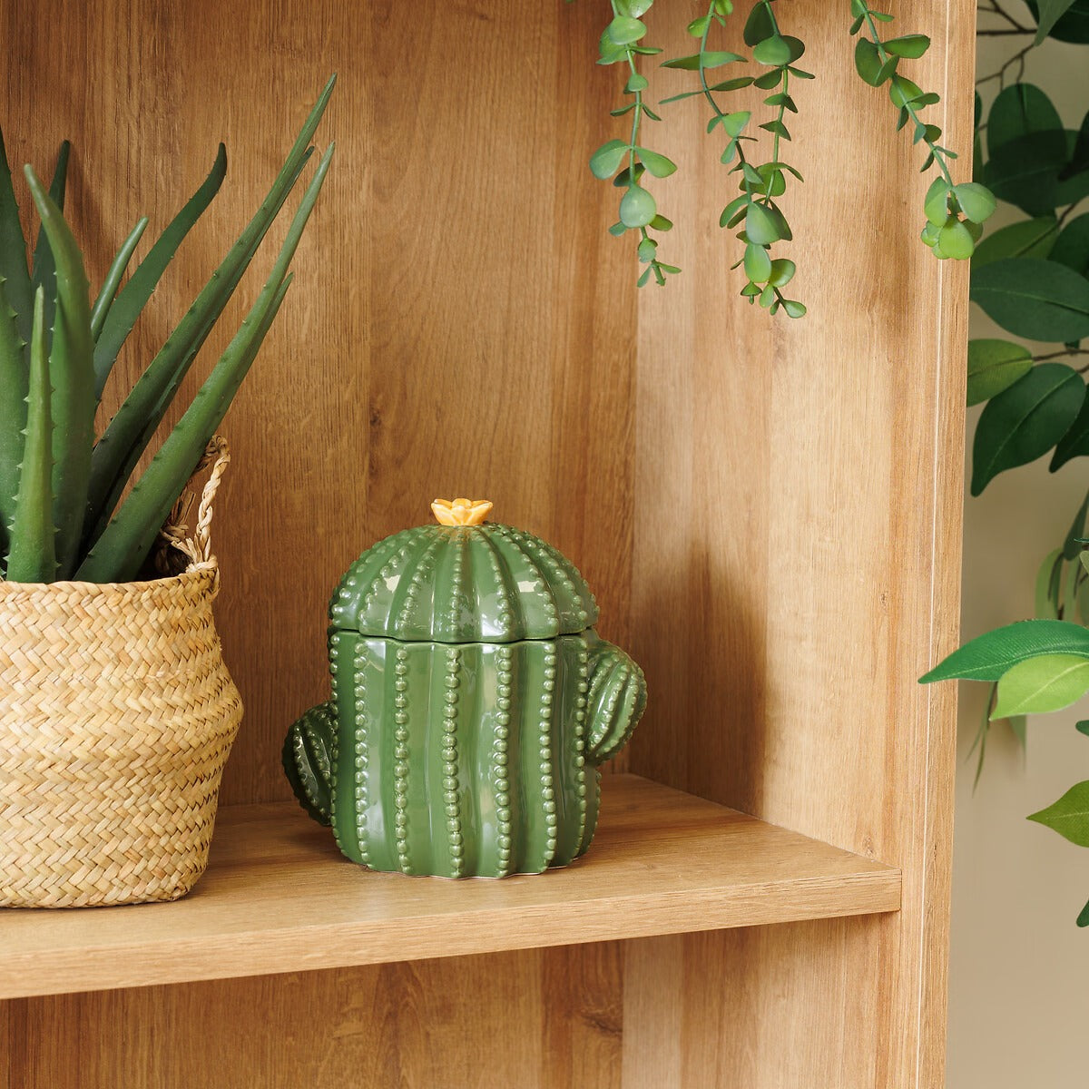 Decorative Box "Yuca" - Green Dolomite Cactus Storage Box