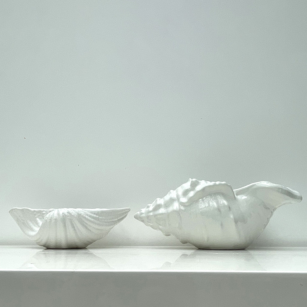 Neptune Decoration Bowl White Ceramic Shell Accent Home Decor