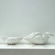 Neptune Decoration Bowl White Ceramic Shell Accent Home Decor