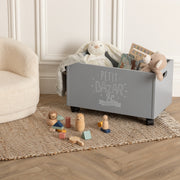 Wheels Grey Storage Box for Kids