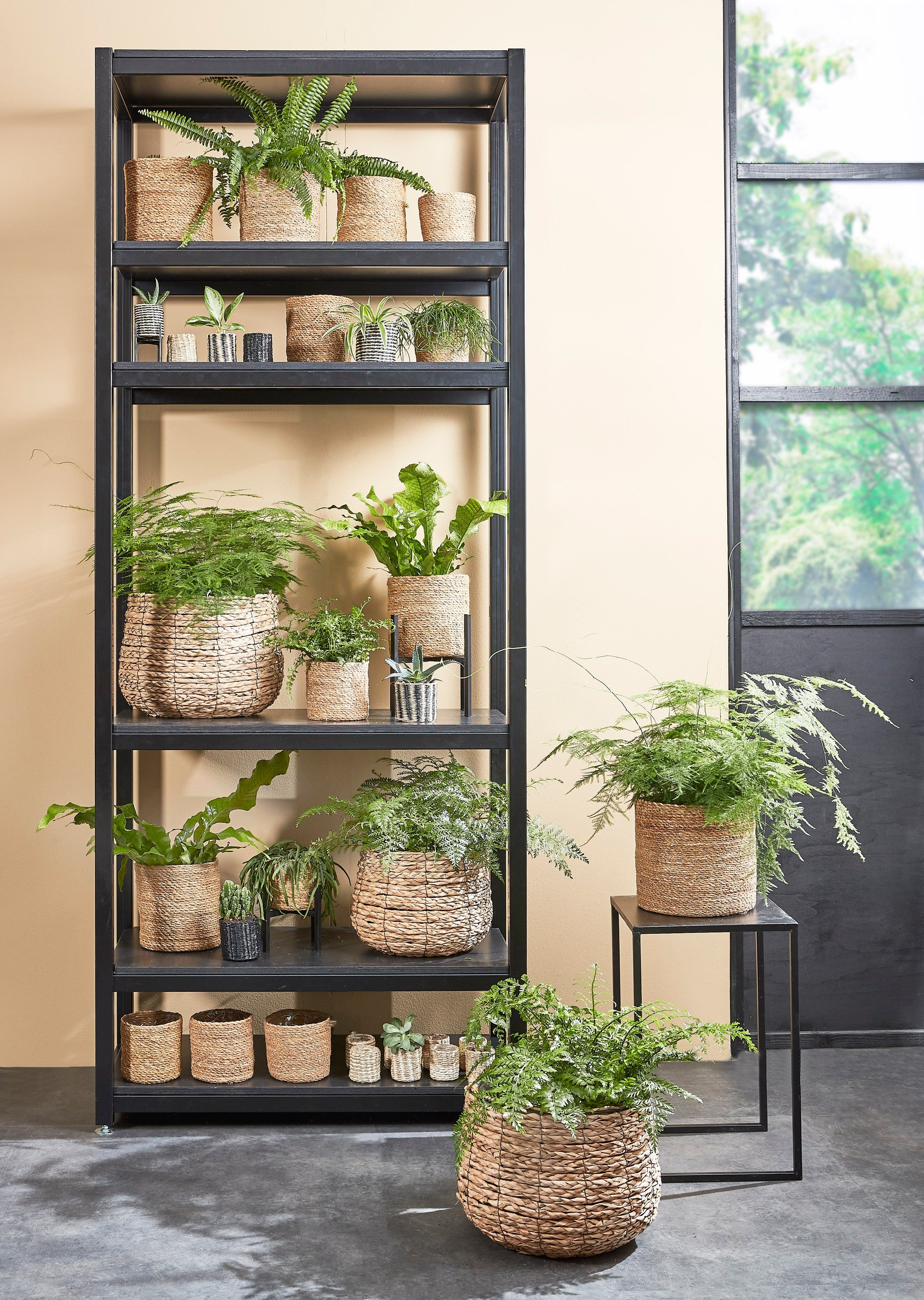 Alexis Round Flower Pot, Assorted Sizes, High-Quality Materials