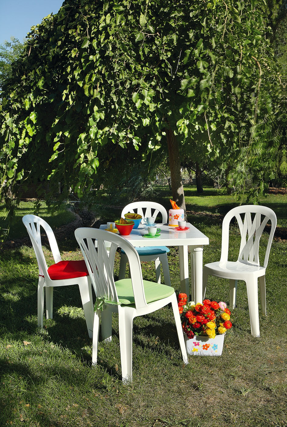 Sienna Dining Chair - Versatile Plastic Design