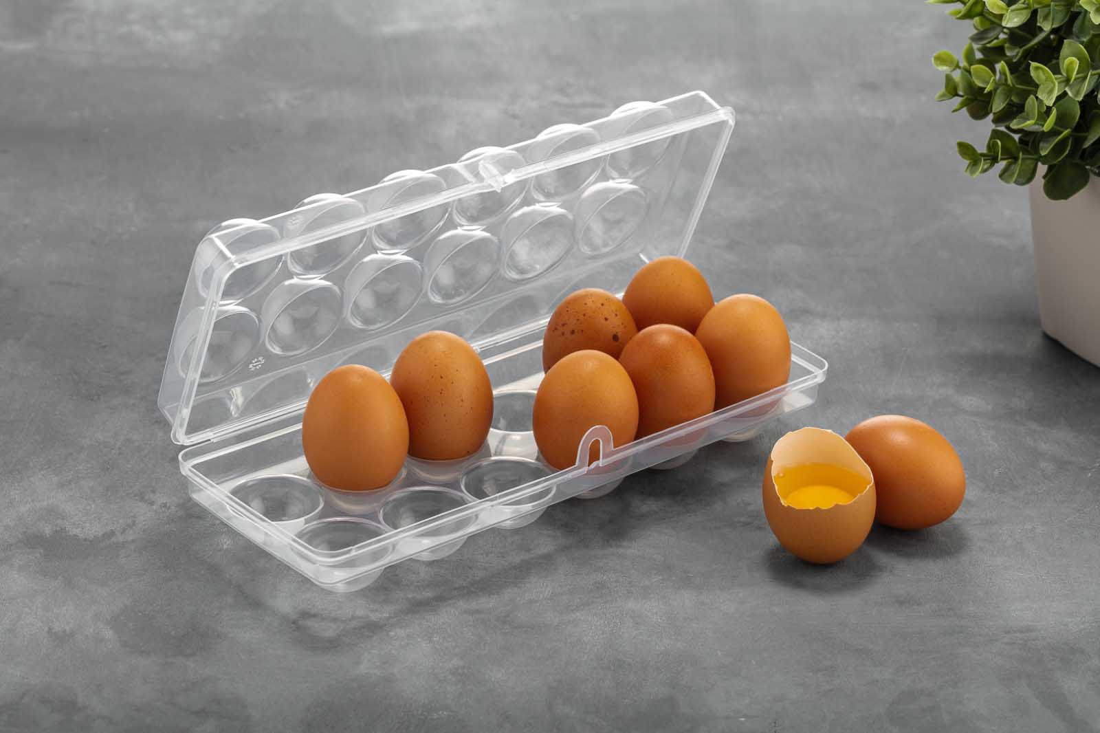 Egg Holder BPA-Free 12-Egg Storage Container for Kitchen Organization