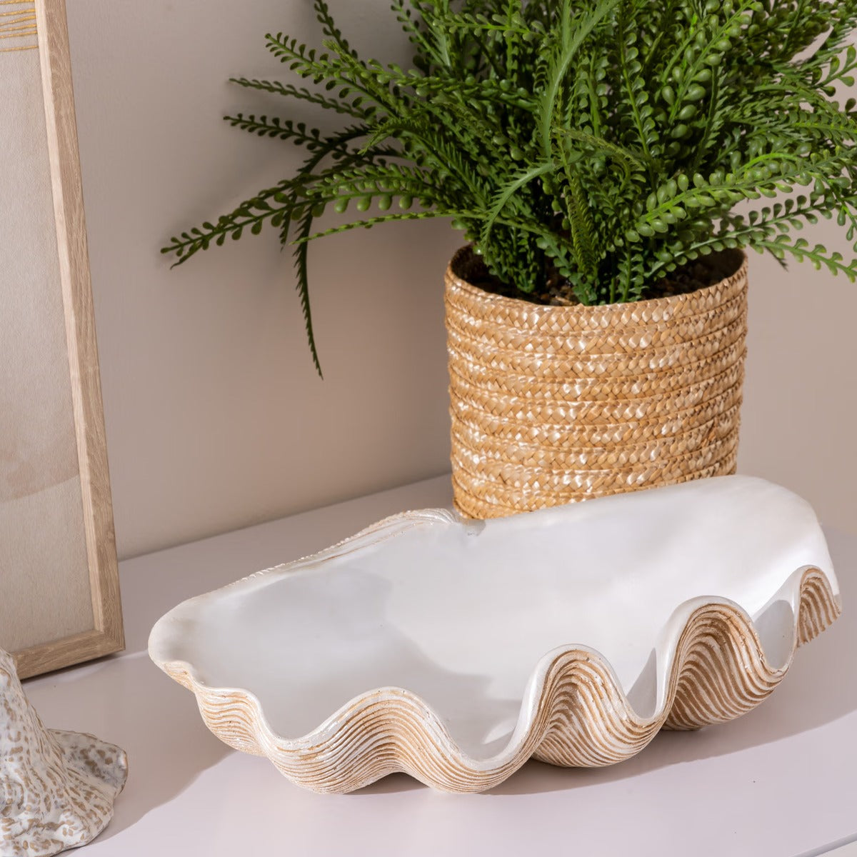 Oceane Decorative Bowl White Resin Seashell Accent 36 x 20 x 8 cm