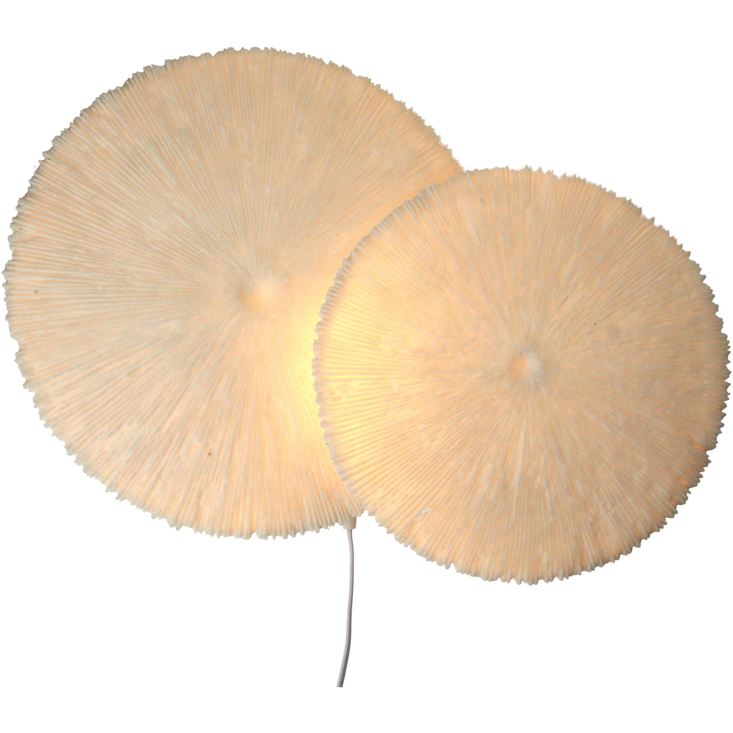 Wall Lamp Sandstone Ivory