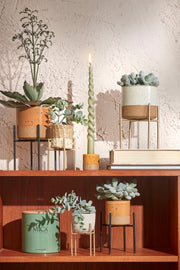 Alexis Round Wicker Flower Pot - 4 Assorted Sizes
