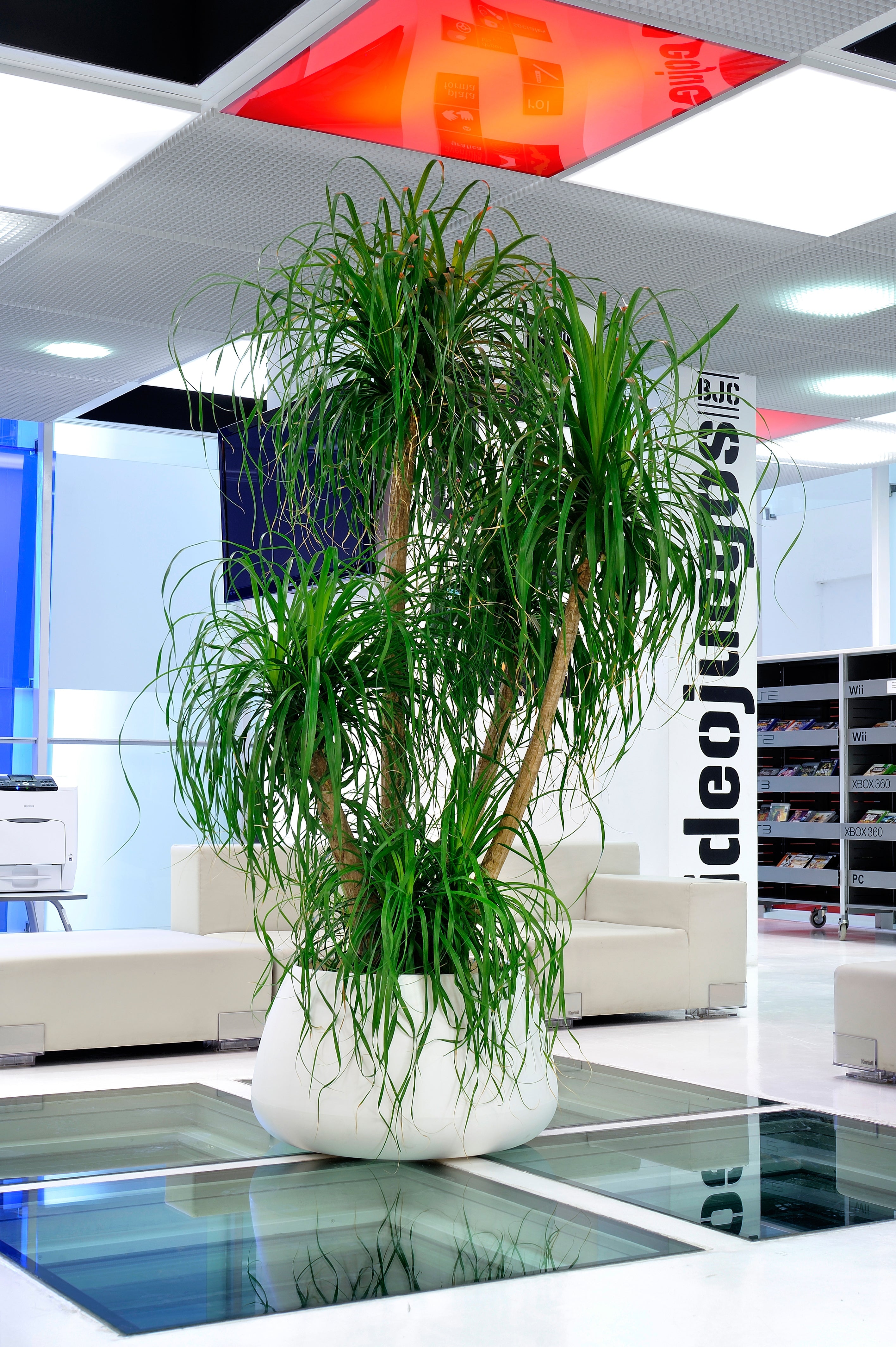 Bubble Flowerpot — White Resin Indoor & Outdoor, D.49 x H.40.5 & D.67 x H.38.5 cm