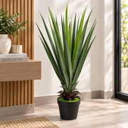 Black Pot with Aloe Vera Plant – 100 cm