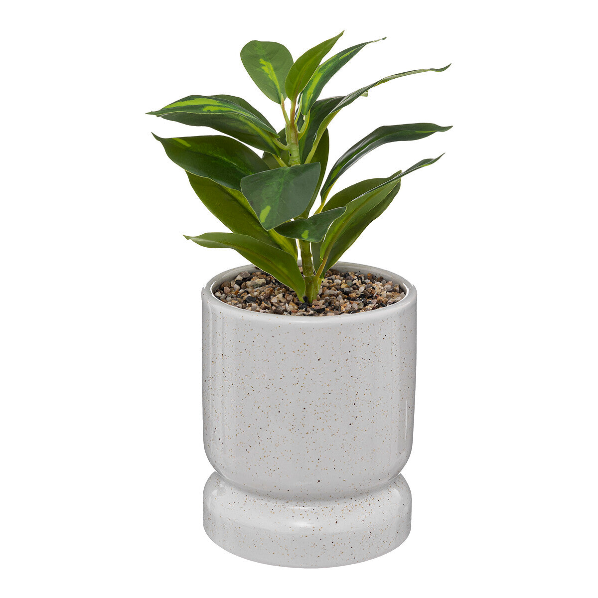 Plant Reactive Ceramic Pot