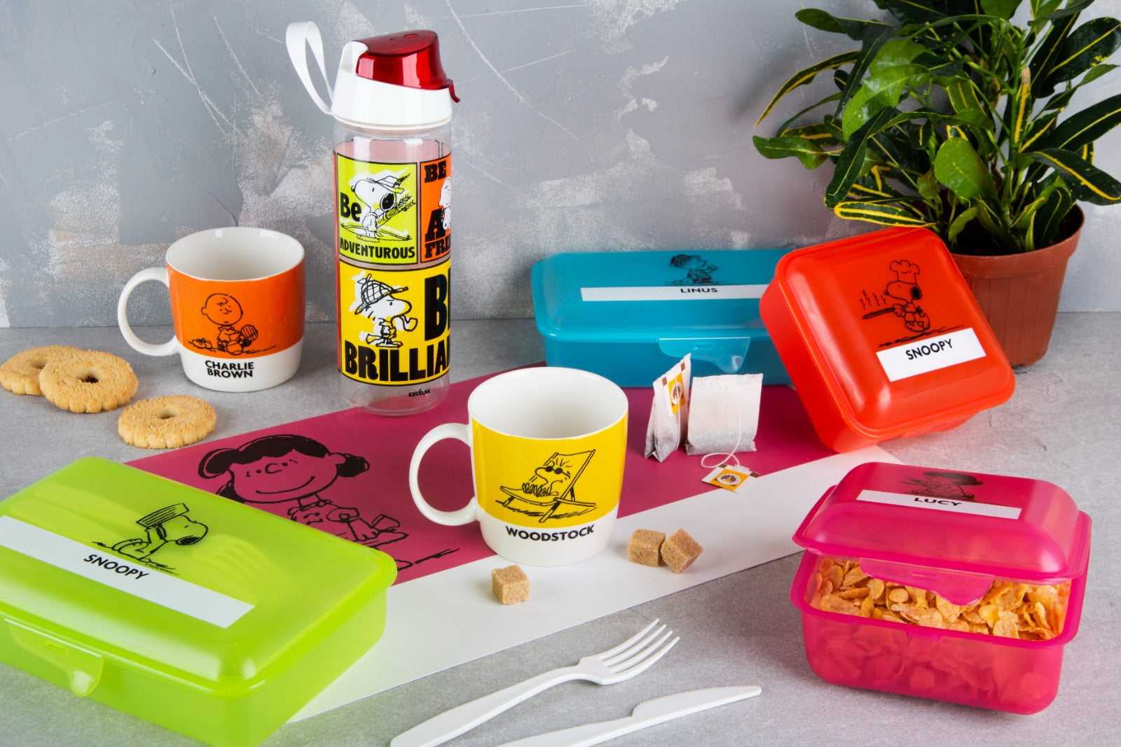 "PEANUTS" Rectangular Food Container - Snoopy Red Lunch Box