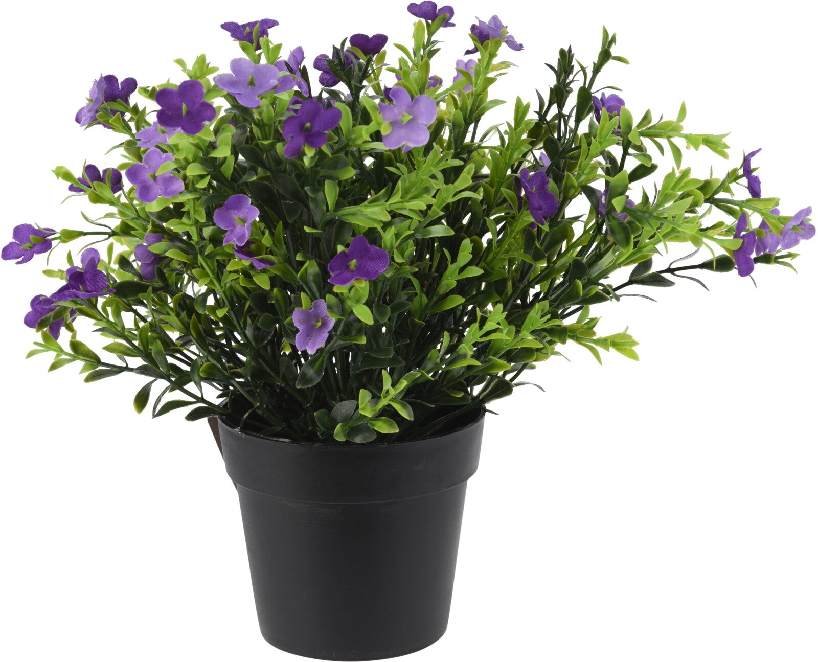 PLANT IN PP POT - 8 Stylish Designs