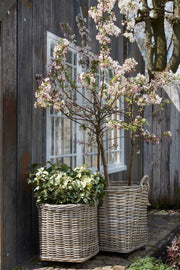 Marcia Round Basket with Wheels for Home and Garden