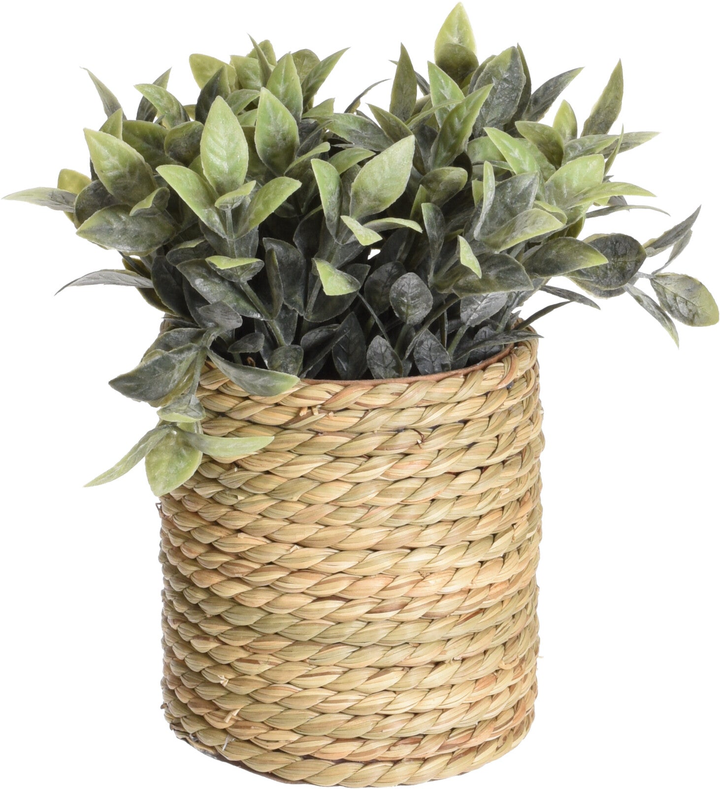 Artificial Plant in Seagrass Pot, 23cm