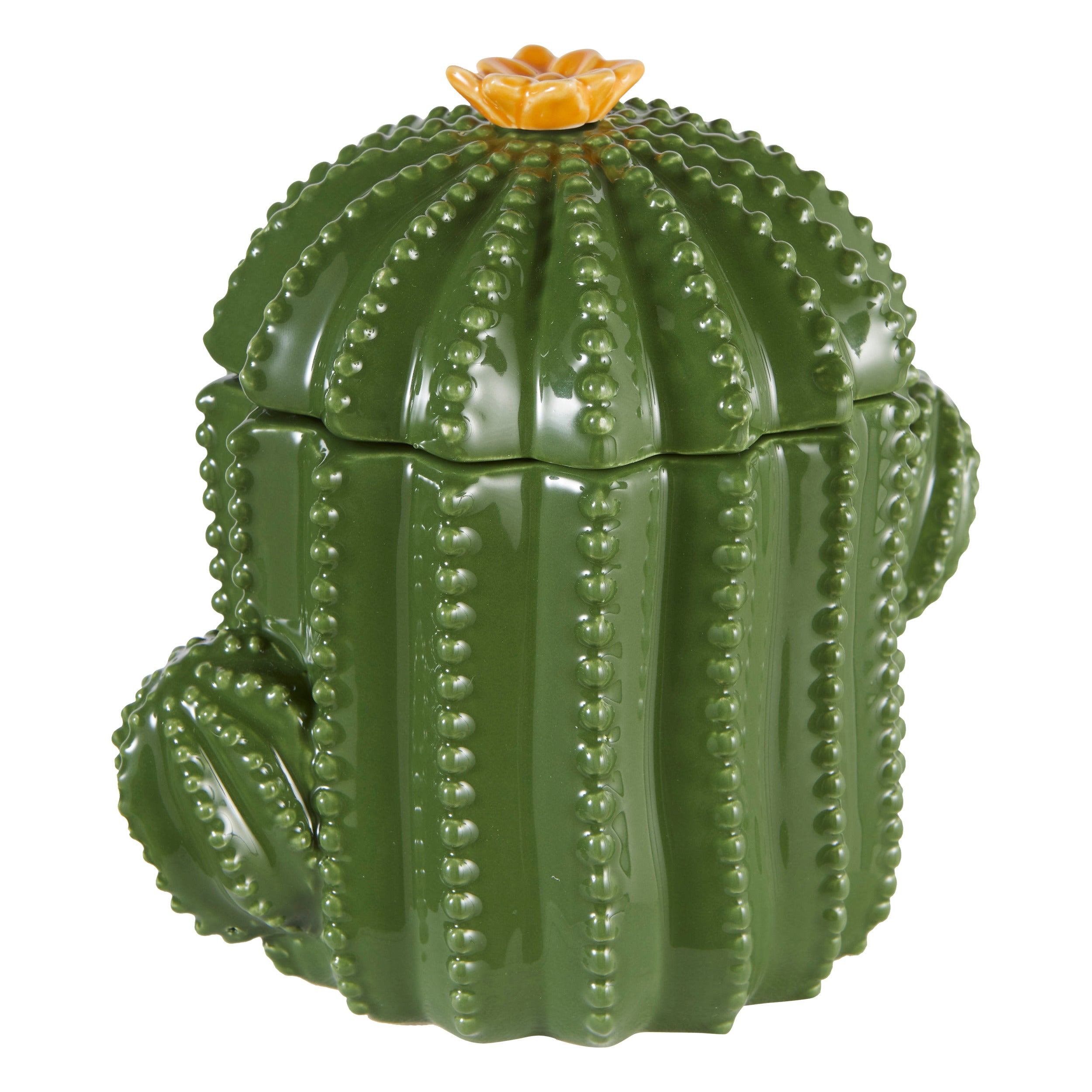 Decorative Box "Yuca" - Green Dolomite Cactus Storage Box