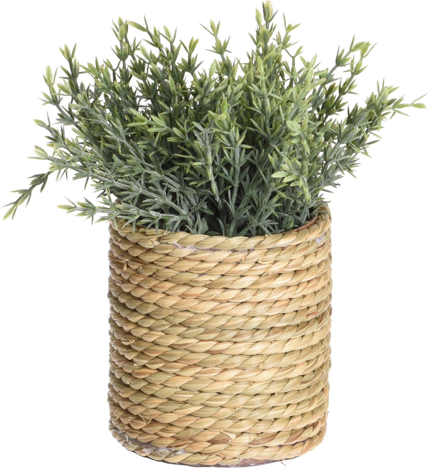 Artificial Plant in Seagrass Pot, 23cm