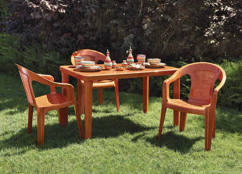 Celina Rectangular Table with 4 Tube Legs