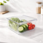 Clear Multipurpose Storage Organizer with Lid Stackable Plastic