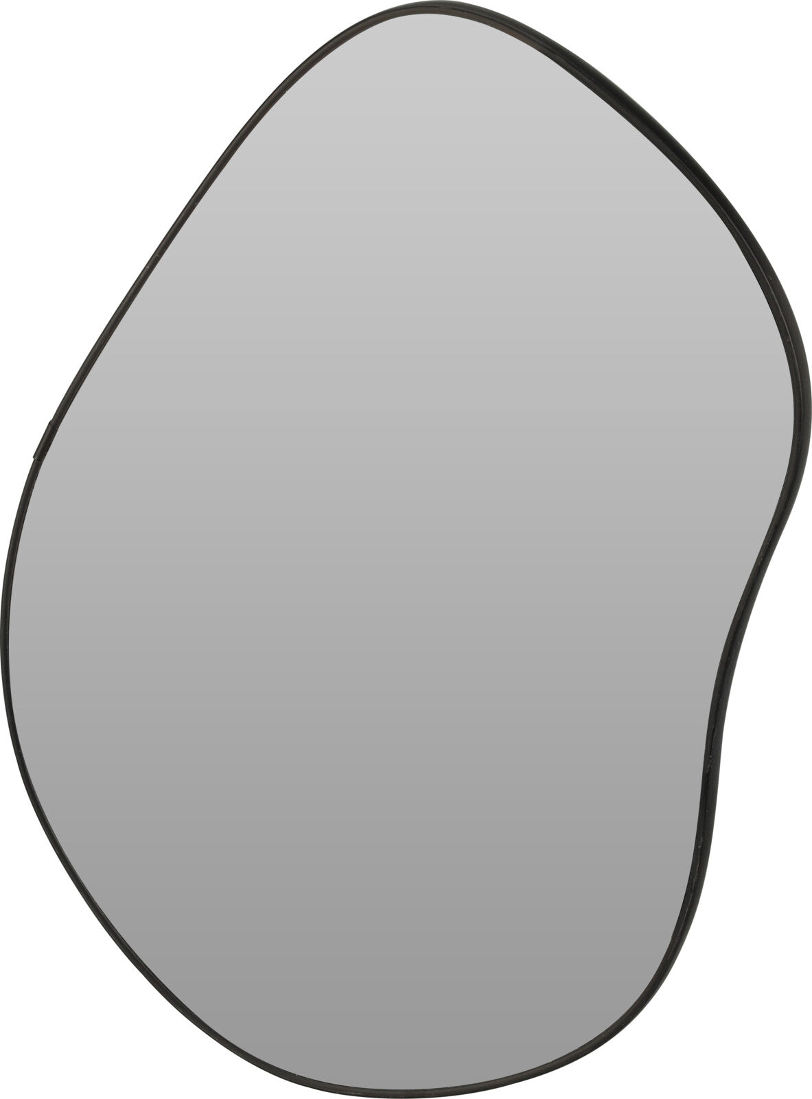 Modern Wall Mirror with Dark Matte Black Frame