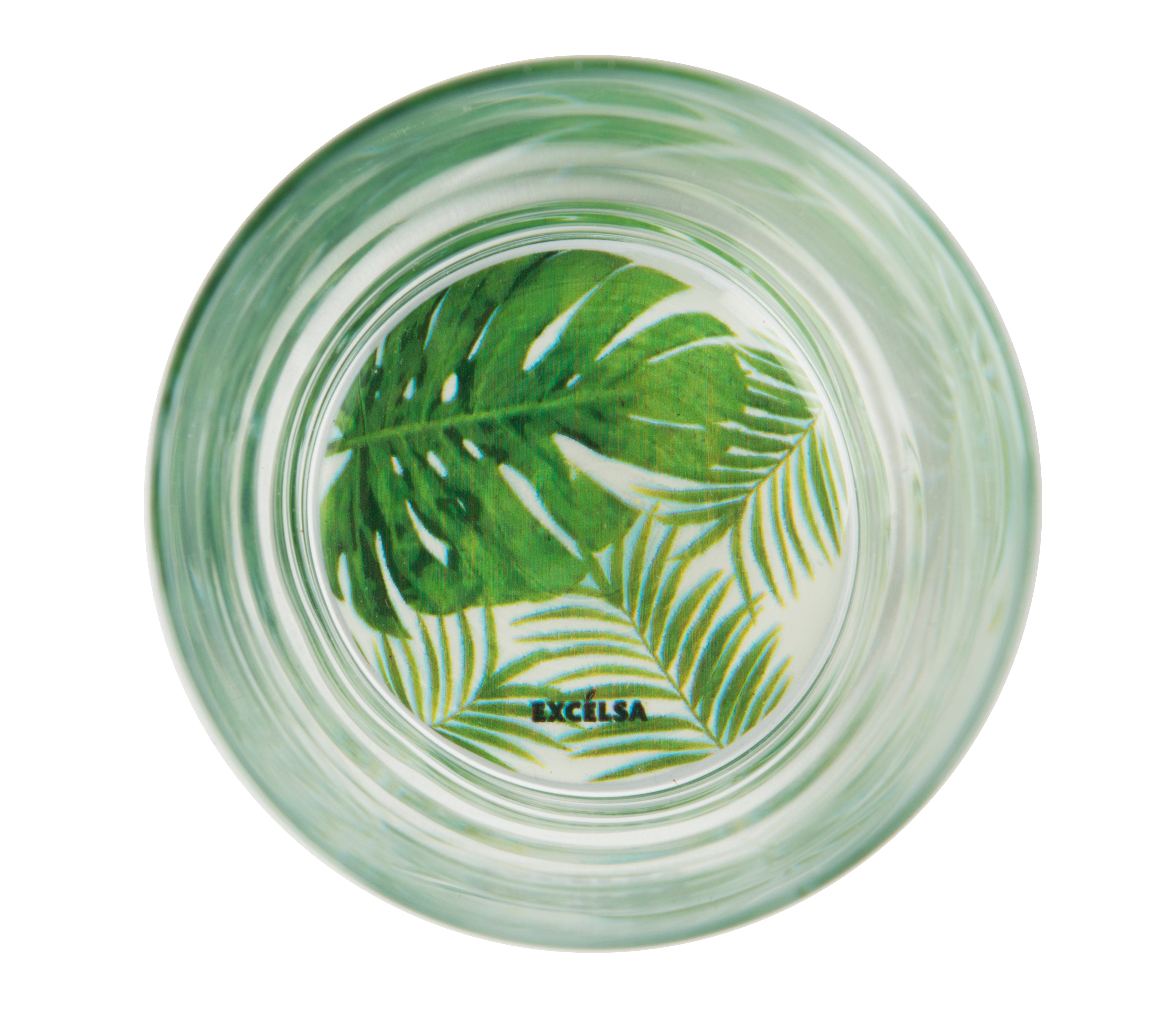 Foliage Water Glass - 340ml Transparent, Decorated Bottom