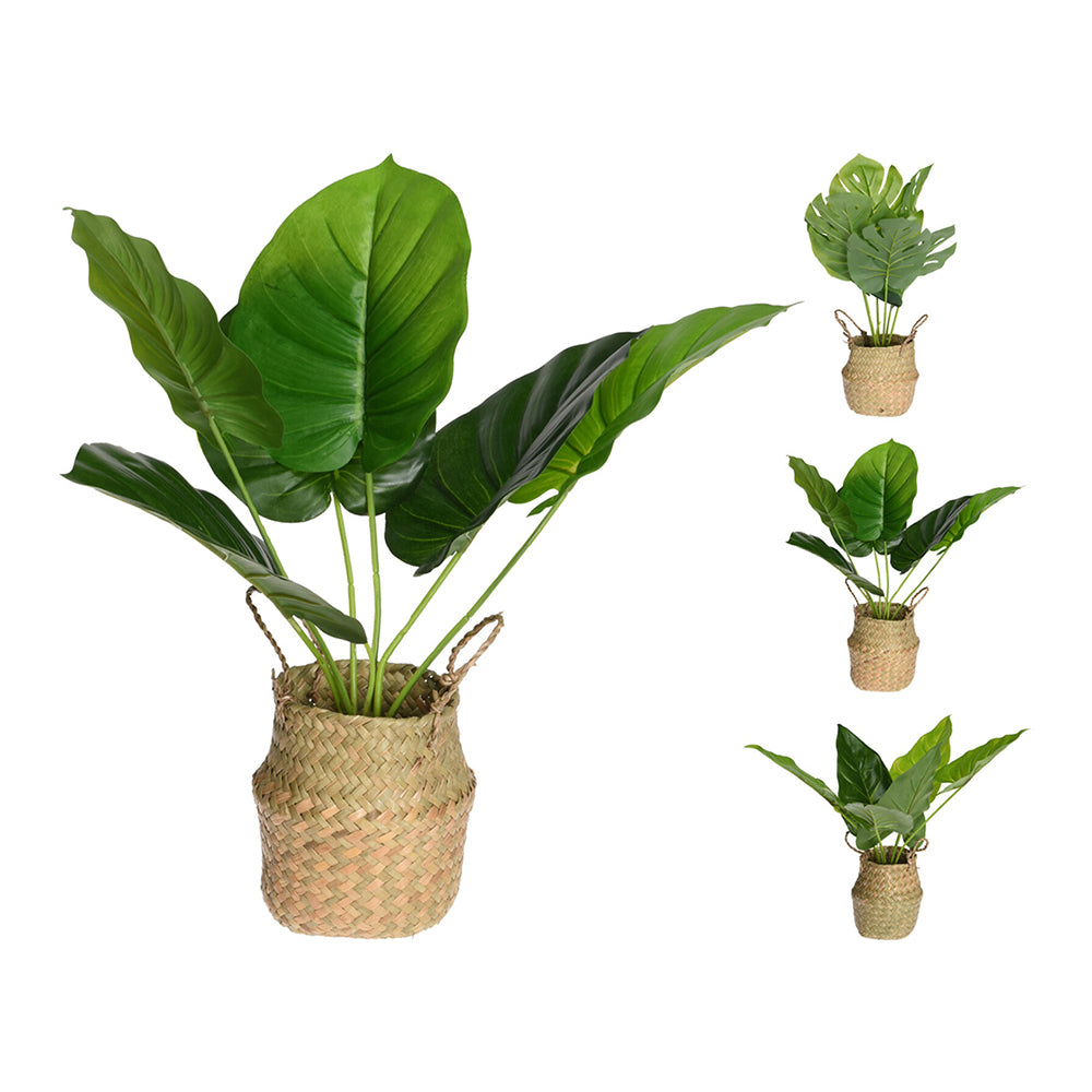Plant In Basket - 46 cm | Stylish Home Decoration