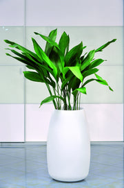 Alto Bubble Flowerpot, White Resin Indoor/Outdoor Planter 45.5×75 cm