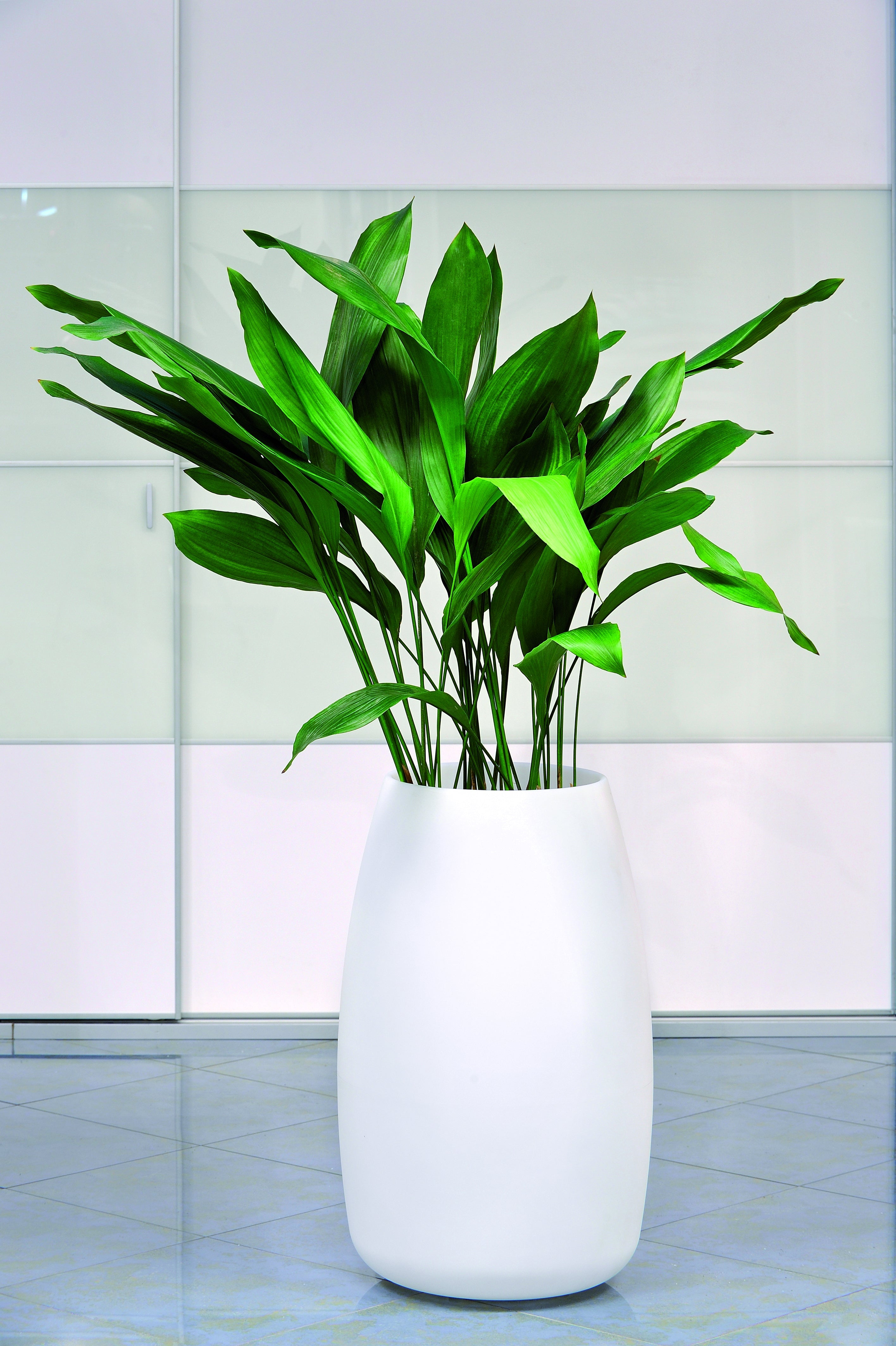 Alto Bubble Flowerpot, White Resin Indoor/Outdoor Planter 45.5×75 cm