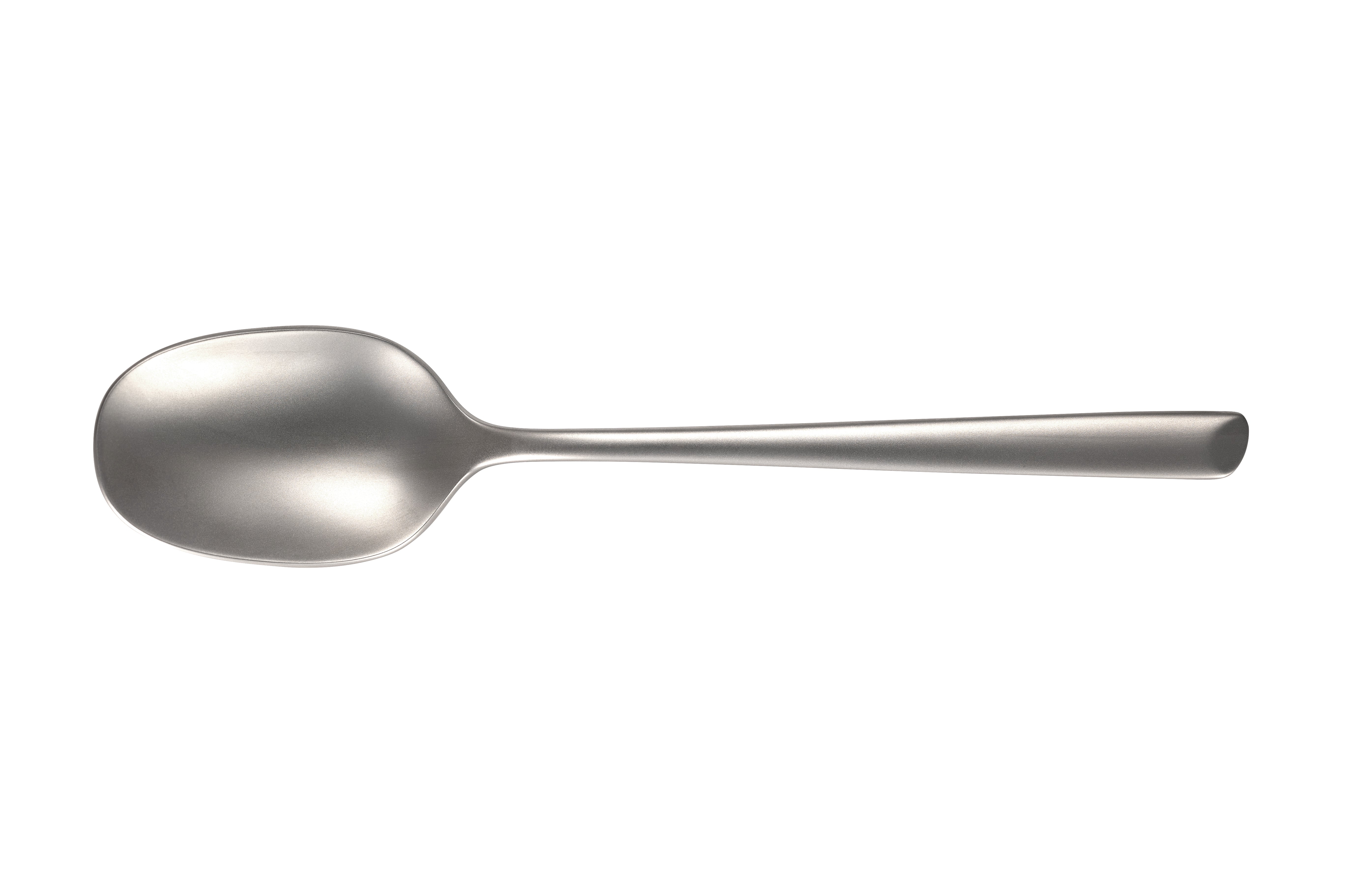 Stainless Steel Tablespoon with Sandblasted Finish, 20 cm Silver Kitchen Spoon