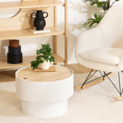 Enola Trunk Coffee Table with Lift-Top Storage