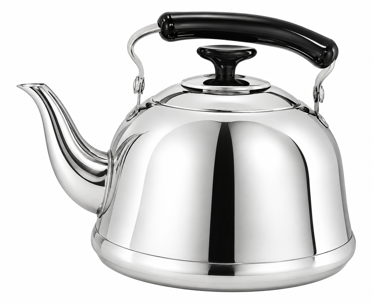 Stainless Steel Kettle with Foldable Handle