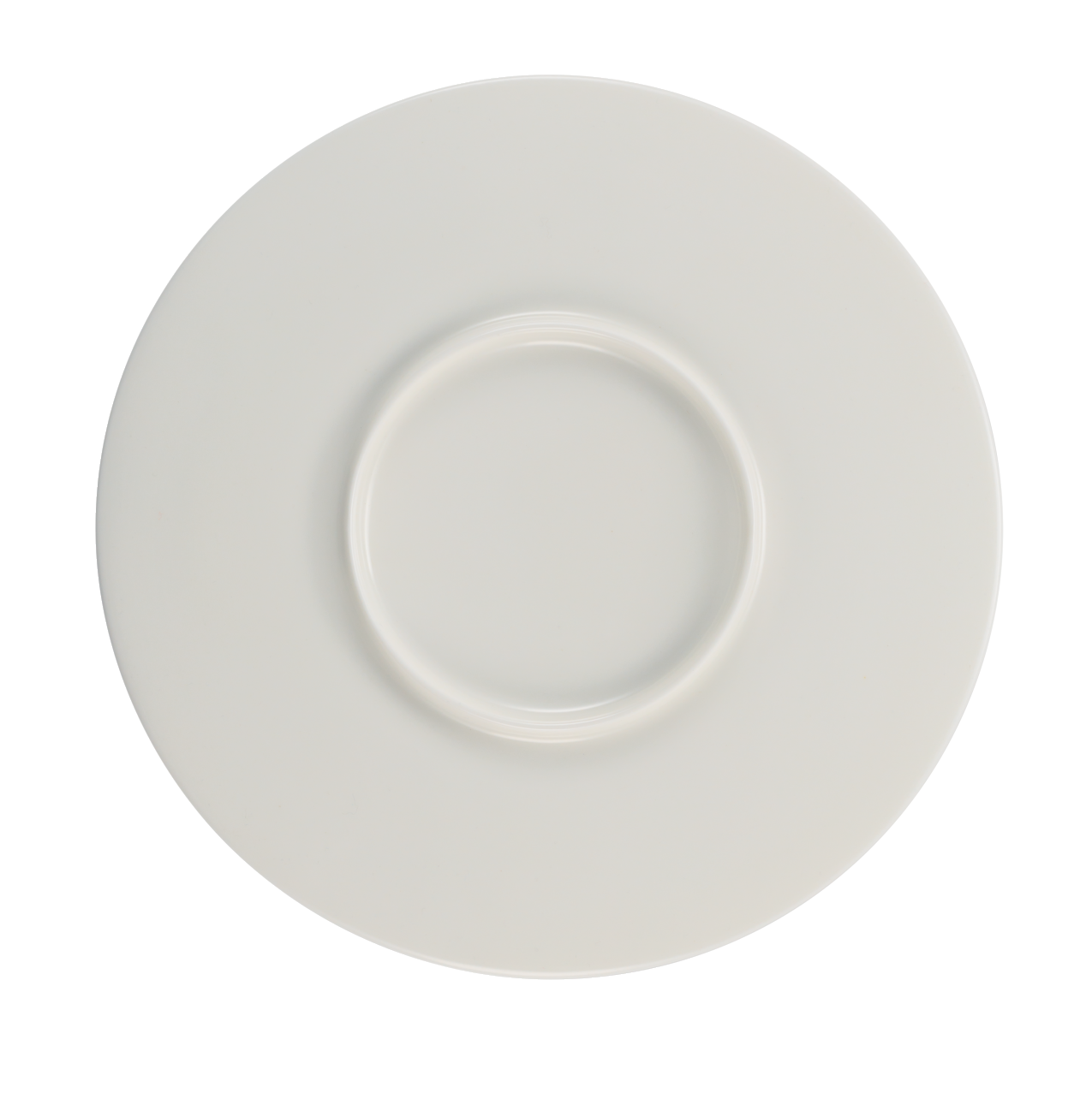 Porcelain Flat Plate Elegant Minimalist Serveware for Dining and Entertaining