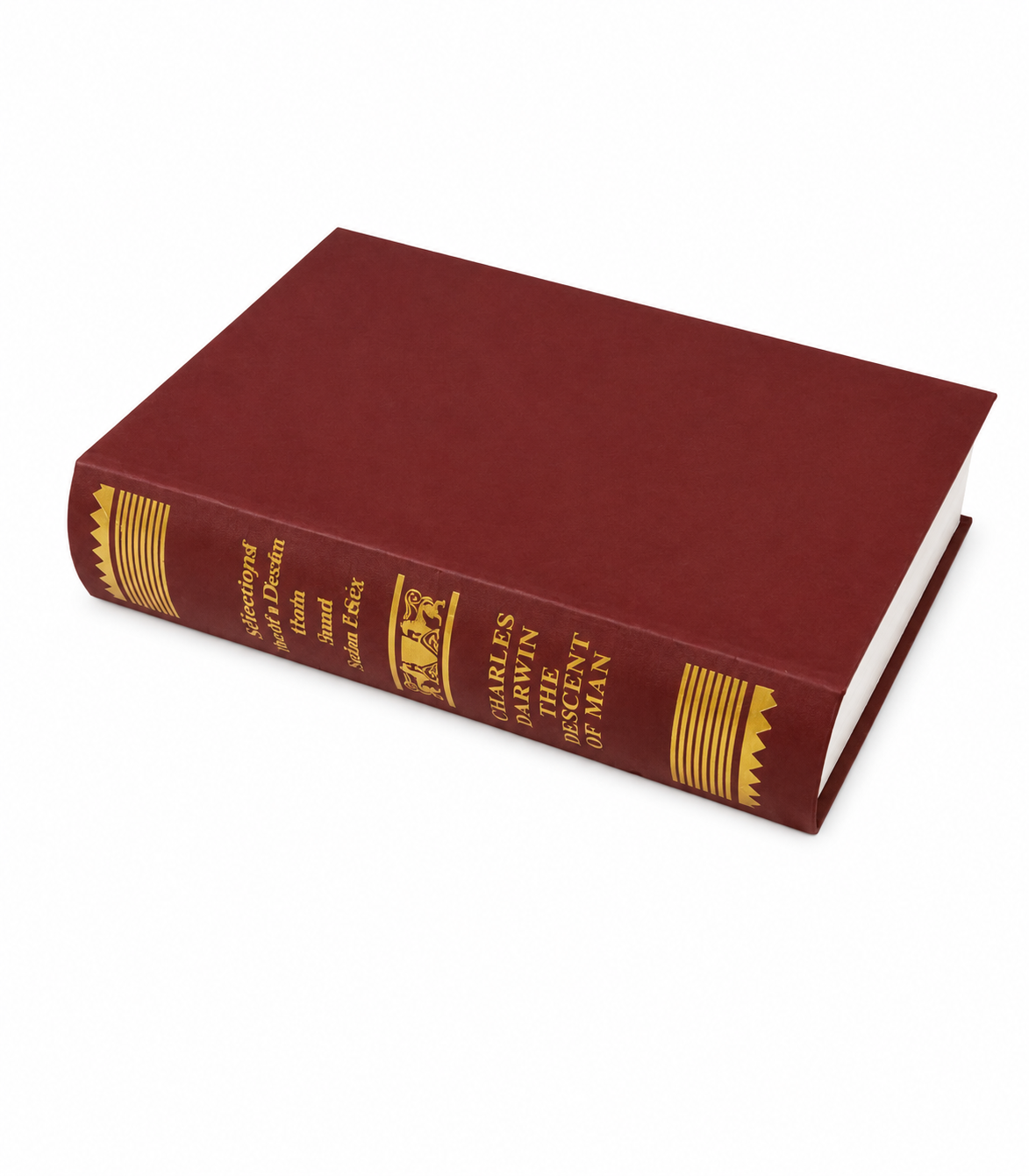 Cartoon Style Decorative Display Book