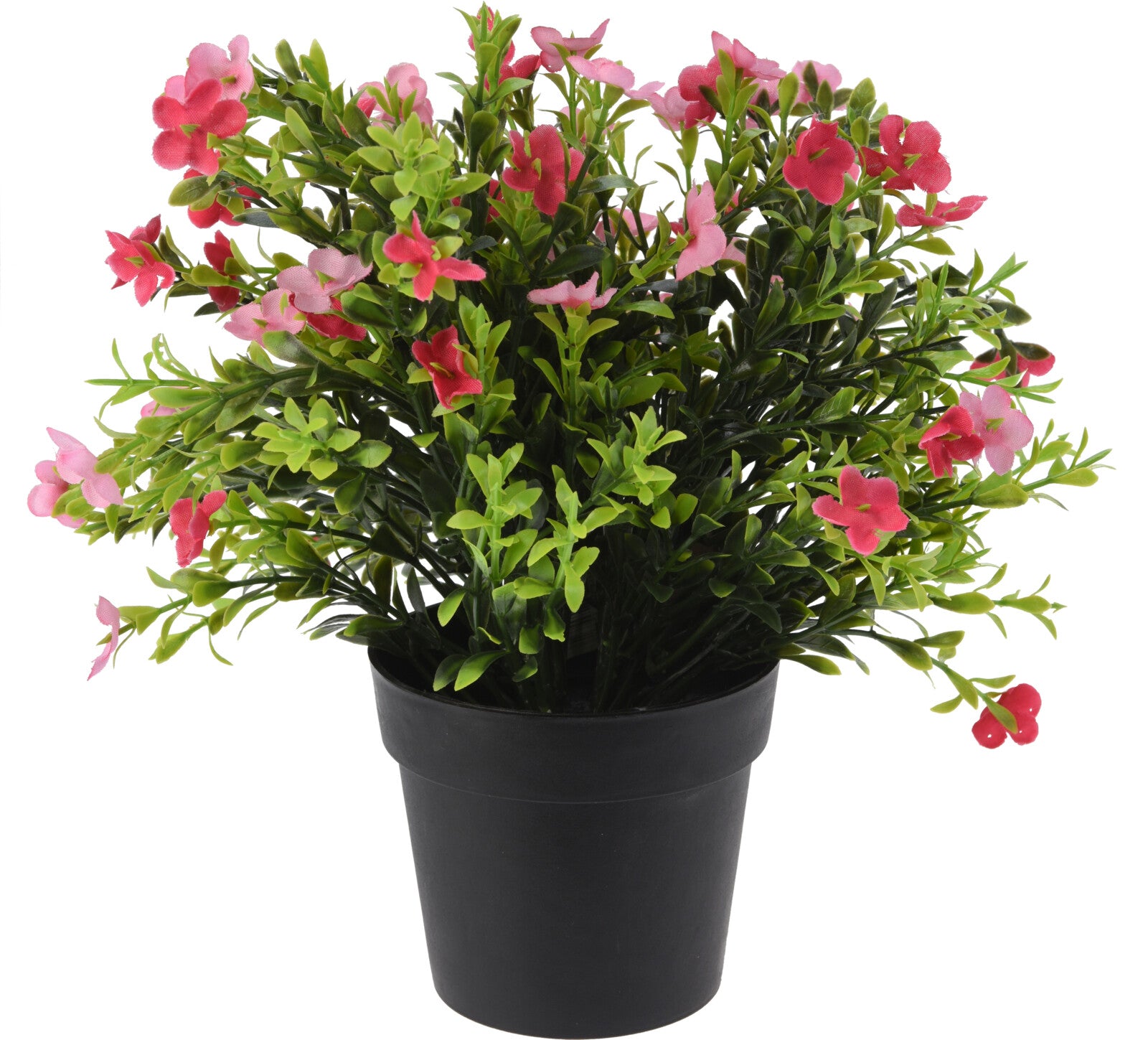 PLANT IN PP POT - 8 Stylish Designs